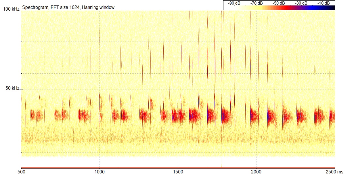 Klicka för större bild BbarM00848