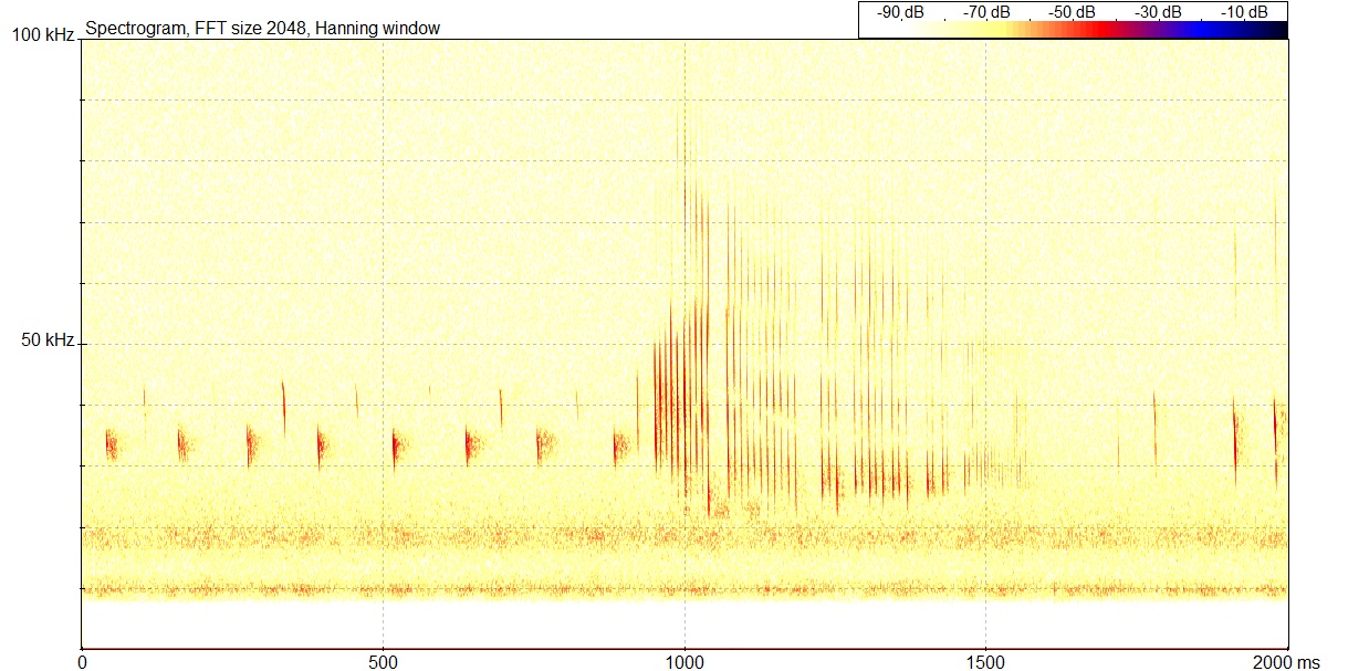 Klicka för större bild M00036